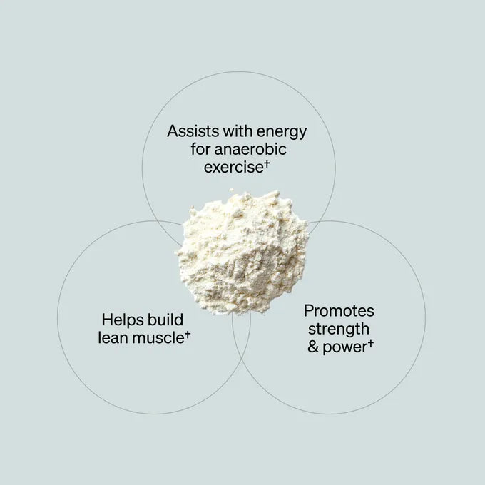 ONNIT Creatina Monohidratada (150 g)